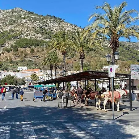 Higueronrentals Bahia 아파트 *