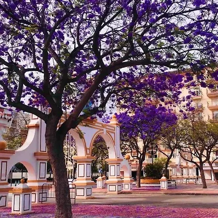 Higueronrentals Bahia Apartment Malaga