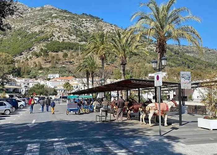 Higueronrentals Bahia Appartement *